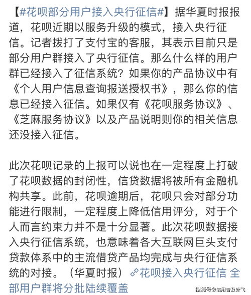 如何申请不看负债和征信的贷款？快速解读无需信用审查的借款申请条件