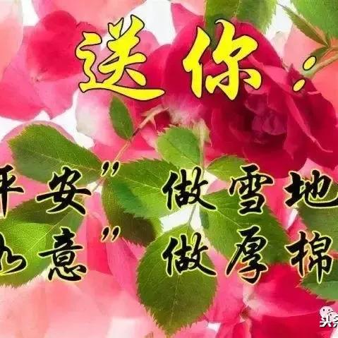 探索那束光：理解并解读'永恒之光'的深层含义及其在人类历史与文化中的影响