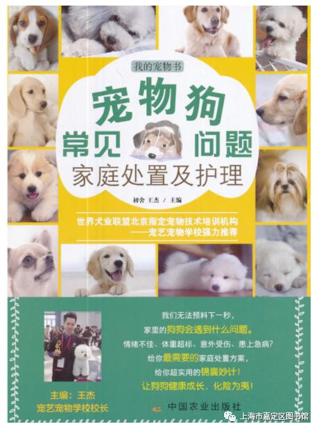(宠物学 宠物与人类的关系)探究宠物与人类互动关系的跨学科案例研究